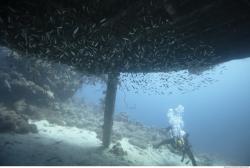 Photo Reference of Umbria Wingate Reef - Sudan